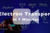 Electron Transport