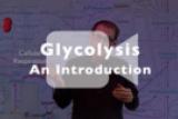 Glycolysis An Introduction