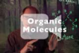 A Deeper Look into Organic Molecules
