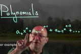 An Introduction to Polynomials